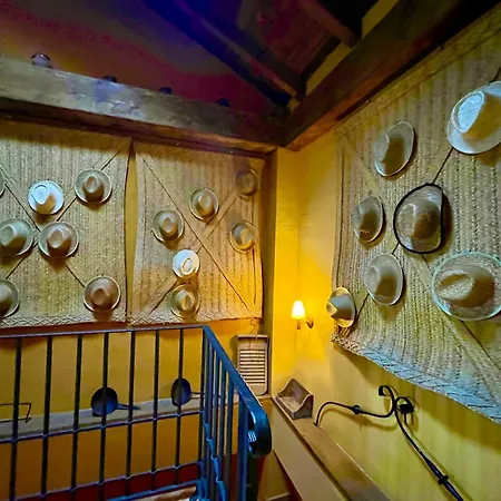 Casa Rebollares Iibis